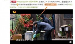 向往5最新爆料,明星们的新奇生活大揭秘！